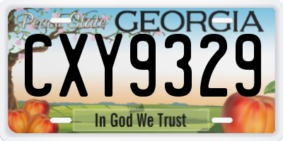 GA license plate CXY9329