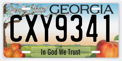 GA license plate CXY9341