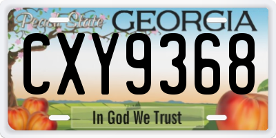 GA license plate CXY9368