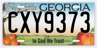 GA license plate CXY9373