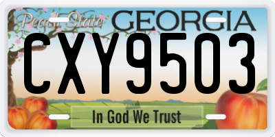 GA license plate CXY9503