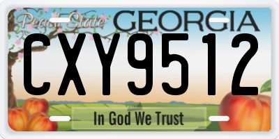 GA license plate CXY9512