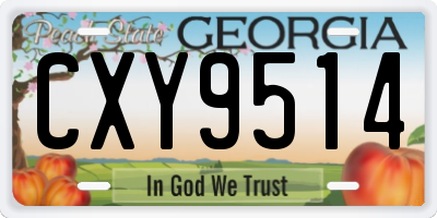 GA license plate CXY9514