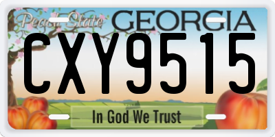 GA license plate CXY9515