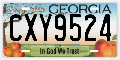 GA license plate CXY9524