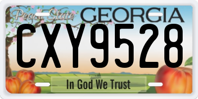 GA license plate CXY9528