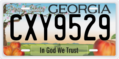 GA license plate CXY9529