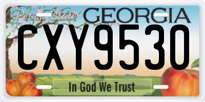 GA license plate CXY9530