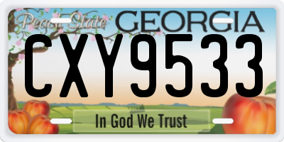 GA license plate CXY9533