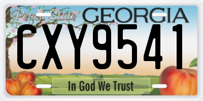 GA license plate CXY9541