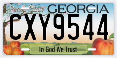 GA license plate CXY9544