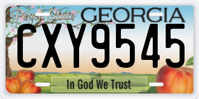 GA license plate CXY9545