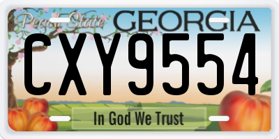 GA license plate CXY9554