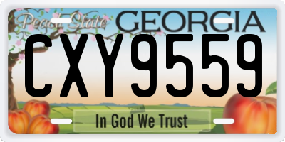 GA license plate CXY9559