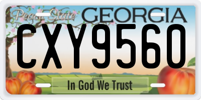 GA license plate CXY9560