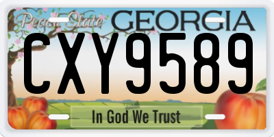 GA license plate CXY9589