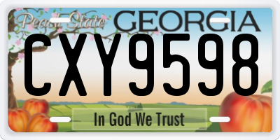 GA license plate CXY9598