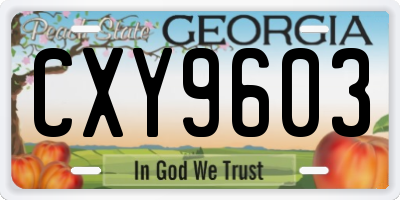 GA license plate CXY9603