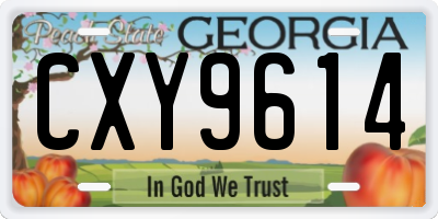 GA license plate CXY9614