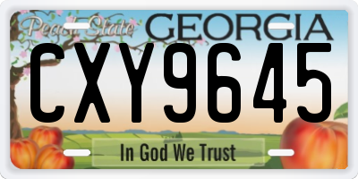 GA license plate CXY9645
