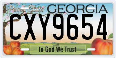 GA license plate CXY9654