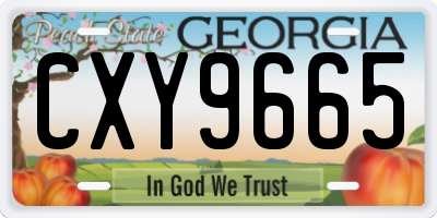 GA license plate CXY9665