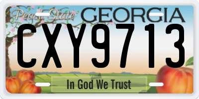 GA license plate CXY9713