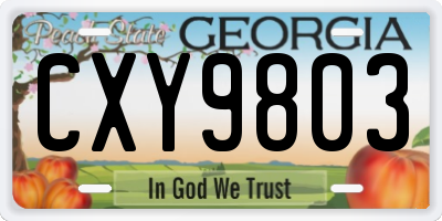 GA license plate CXY9803