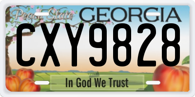 GA license plate CXY9828