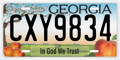 GA license plate CXY9834