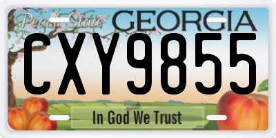 GA license plate CXY9855