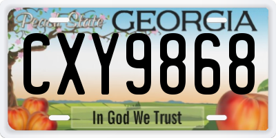 GA license plate CXY9868