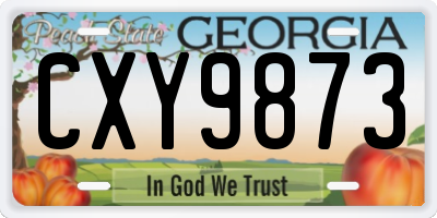 GA license plate CXY9873
