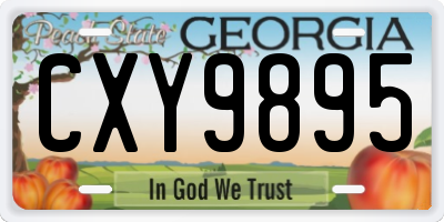 GA license plate CXY9895