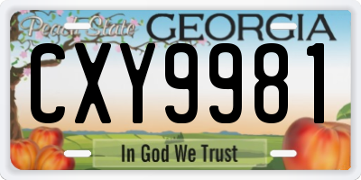 GA license plate CXY9981