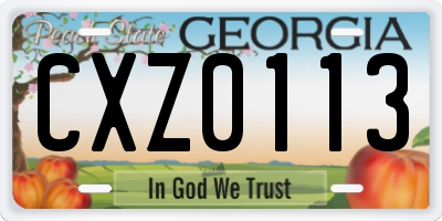 GA license plate CXZ0113