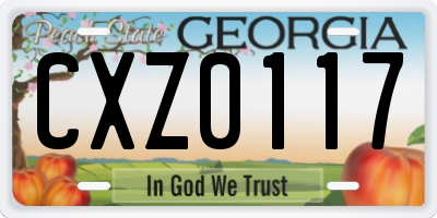 GA license plate CXZ0117