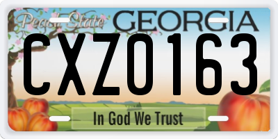 GA license plate CXZ0163