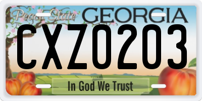 GA license plate CXZ0203