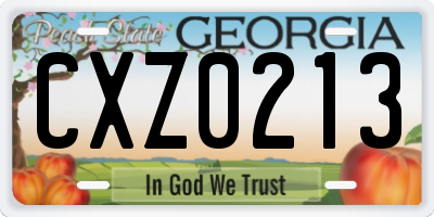 GA license plate CXZ0213