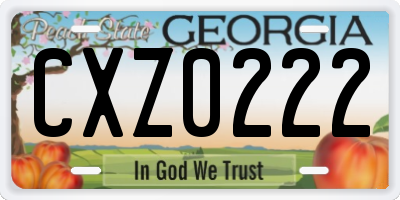 GA license plate CXZ0222