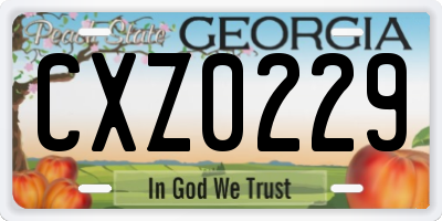GA license plate CXZ0229