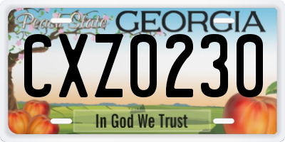 GA license plate CXZ0230