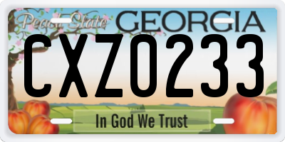 GA license plate CXZ0233