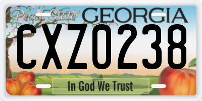 GA license plate CXZ0238