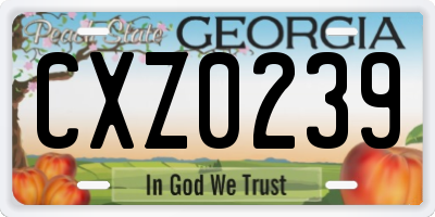 GA license plate CXZ0239
