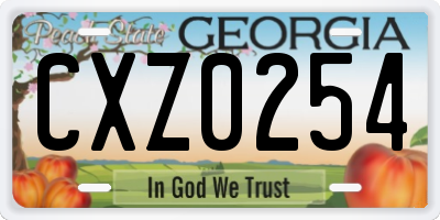 GA license plate CXZ0254