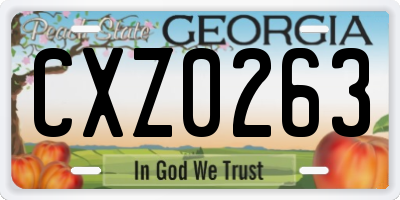 GA license plate CXZ0263