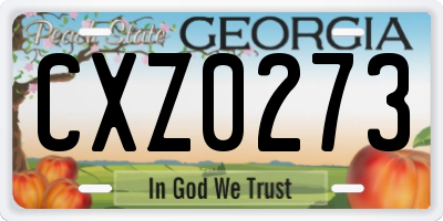 GA license plate CXZ0273
