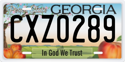 GA license plate CXZ0289